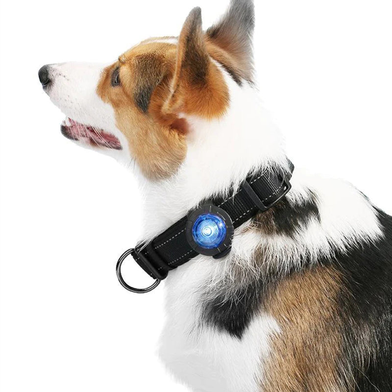 LED Pendant Light for Nighttime Dog Walking and Anti-Loss Safety Chargable