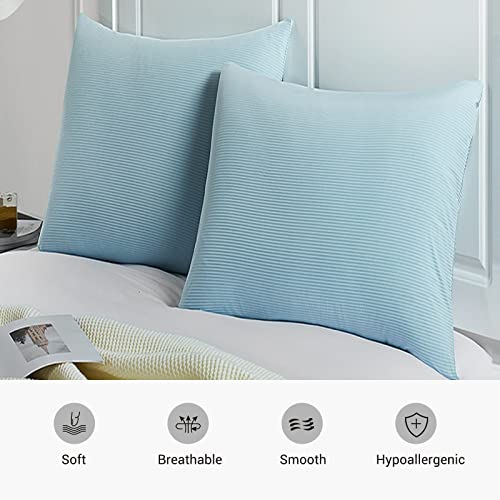 Premium Silky Super Cooling Decorative Pillowcases