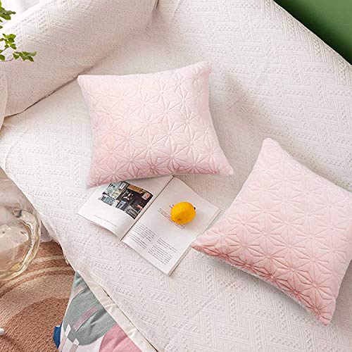 Elegear Set of 2 Cushion Covers  Super Soft Premium Sofa Cushion with Hidden Zipper - Pink (45 x 45 cm)